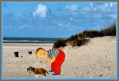 hond-op-strand1.gif